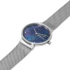 Skagen Mesh SKW2833