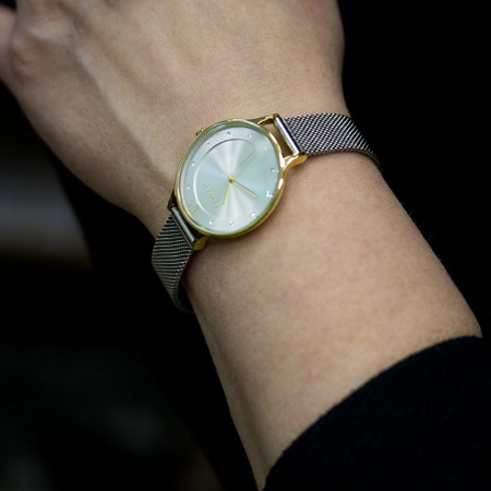 Skagen Mesh SKW2340