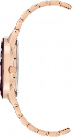 Anne Klein Crystal 3506MVRG