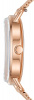 Skagen Mesh SKW2931