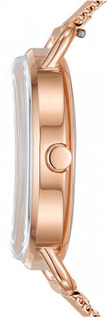 Skagen Mesh SKW2931