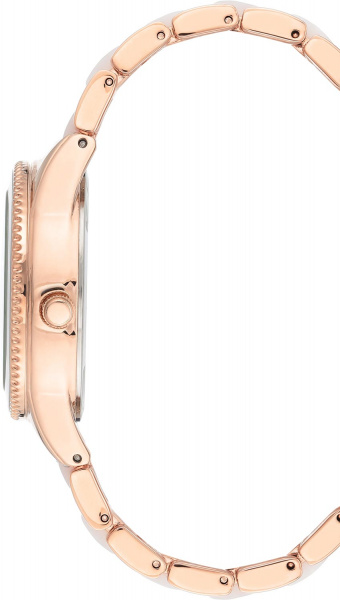Anne Klein Daily 3770WTRG