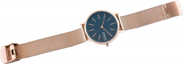 Skagen Signatur SKW2837
