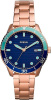 Fossil Dayle BQ3599