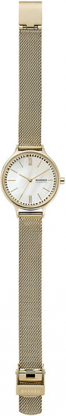 Skagen Mesh SKW2907
