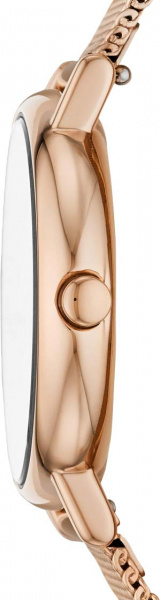 Skagen Signatur SKW2837