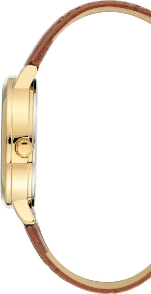 Anne Klein Daily 3824CHHY