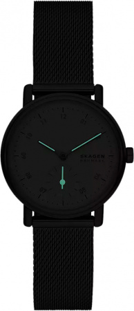 Skagen SKW3100