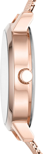 DKNY Modernist NY2817