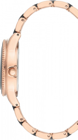 Anne Klein Daily 3770BKRG