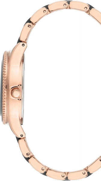 Anne Klein Daily 3770BKRG