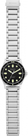 Skagen Fisk SKW6666