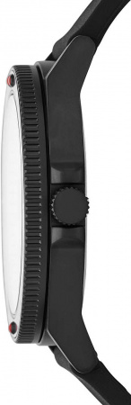 Skagen Fisk SKW6667