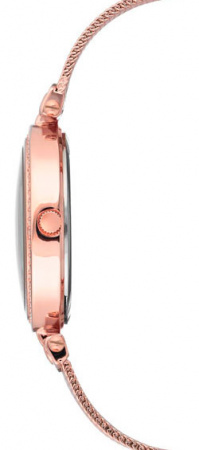 Anne Klein Crystal 2972MPRG
