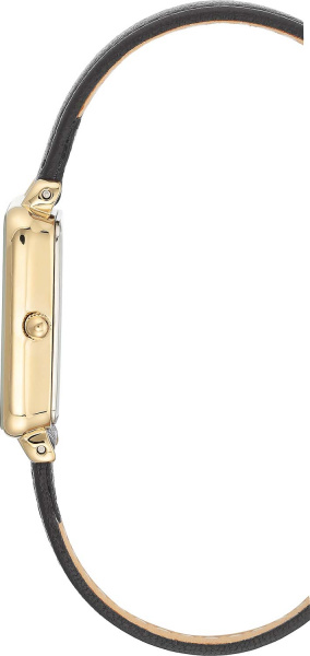 Anne Klein Daily 3828CHBK