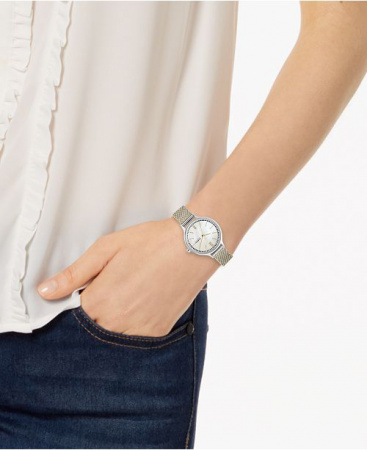Skagen Mesh SKW2908