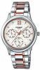 Casio Collection LTP-E306RG-7A