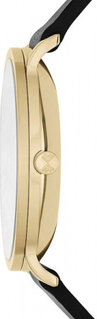 Skagen Leather SKW6217