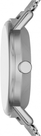 Skagen SKW3100