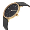 Skagen Leather SKW6217