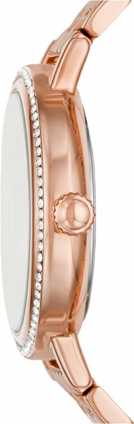 Fossil Reid BQ3656