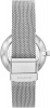 Skagen Mesh SKW2833