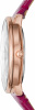 Fossil Prismatic Galaxy ES4731