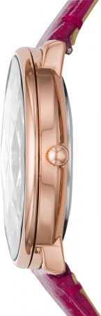 Fossil Prismatic Galaxy ES4731