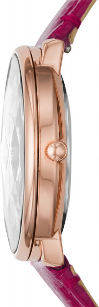 Fossil Prismatic Galaxy ES4731