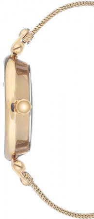 Anne Klein Crystal 3000GNGB