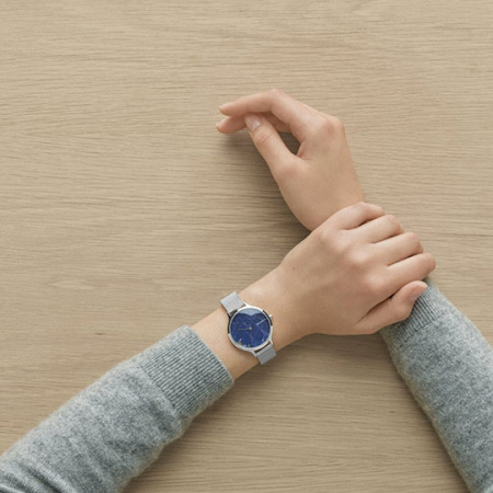 Skagen Anita SKW2718