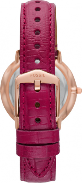 Fossil Prismatic Galaxy ES4731