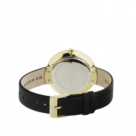 Skagen Leather SKW2262