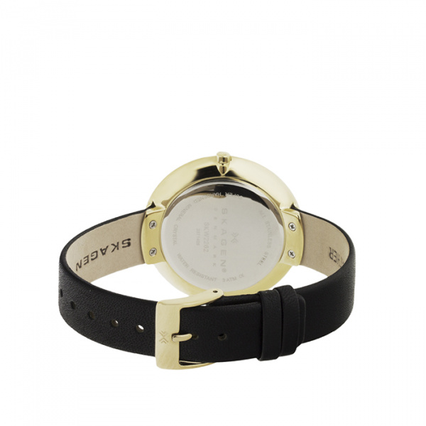 Skagen Leather SKW2262