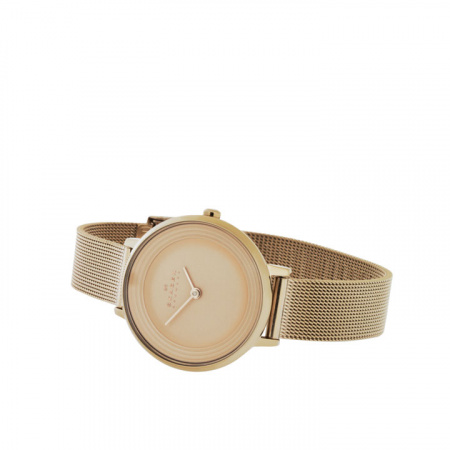 Skagen Mesh SKW2213