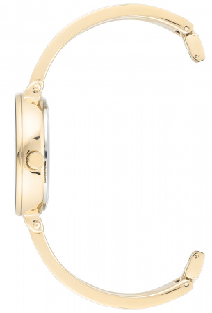 Anne Klein Time to Charme 3620CRST
