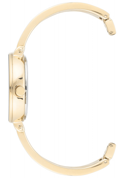 Anne Klein Time to Charme 3620CRST