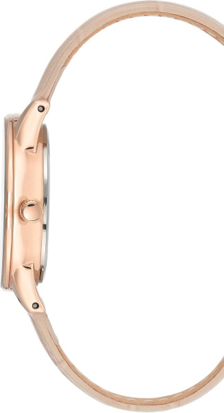 Anne Klein Daily 3734RGBH
