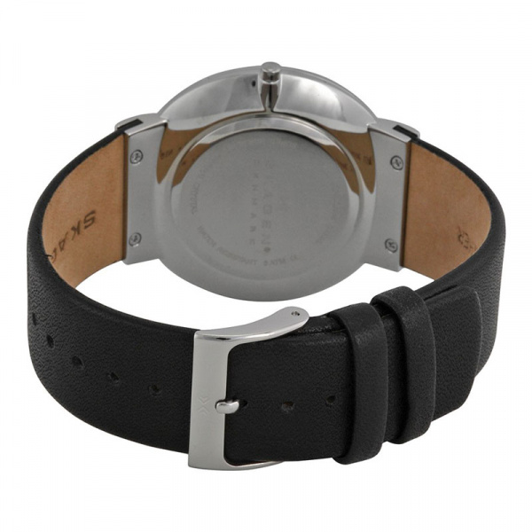 Skagen Leather SKW6104