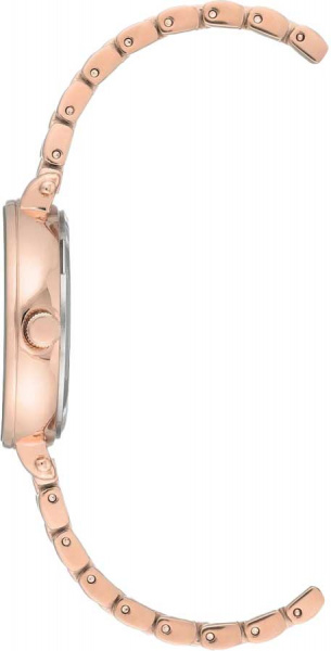 Anne Klein Crystal 3416BYRG