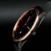 Skagen Mesh SKW6296