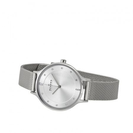 Skagen Mesh SKW2149
