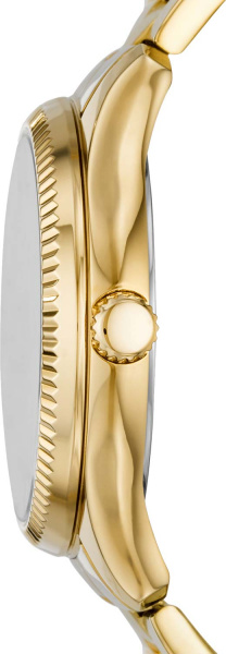 Fossil Rye BQ3692