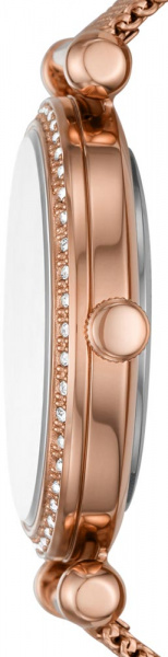 Fossil Tillie BQ3648