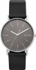 Skagen Leather SKW6654