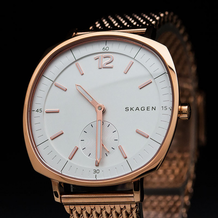 Skagen Mesh SKW2401