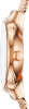 Skagen Mesh SKW2665