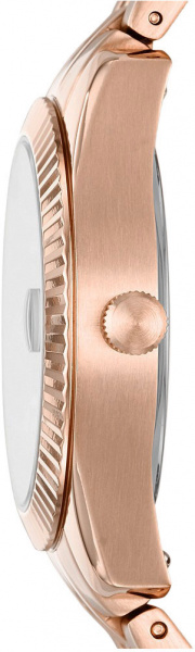 Fossil Scarlette Mini ES4901