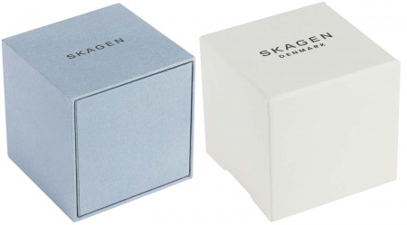 Skagen SKW3100