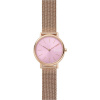 Skagen Mesh SKW2975